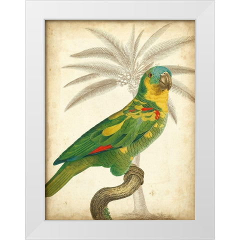 Custom Parrot and Palm II White Modern Wood Framed Art Print by Vision Studio