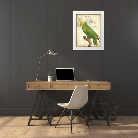 Custom Parrot and Palm III White Modern Wood Framed Art Print by Vision Studio