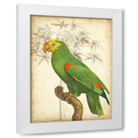 Custom Parrot and Palm III White Modern Wood Framed Art Print by Vision Studio