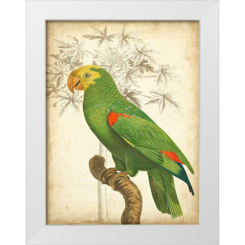 Custom Parrot and Palm III White Modern Wood Framed Art Print by Vision Studio