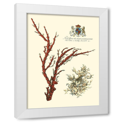 Custom Imperial Coral I White Modern Wood Framed Art Print by Vision Studio