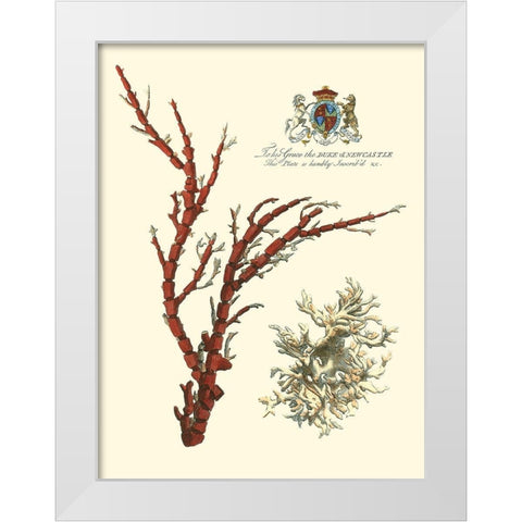 Custom Imperial Coral I White Modern Wood Framed Art Print by Vision Studio