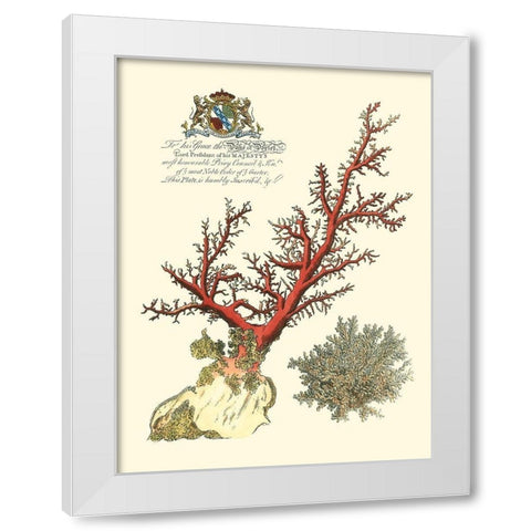 Custom Imperial Coral II White Modern Wood Framed Art Print by Vision Studio