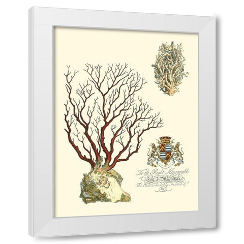 Custom Imperial Coral III White Modern Wood Framed Art Print by Vision Studio