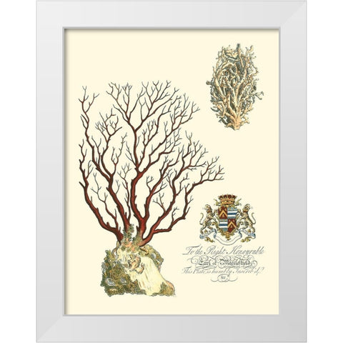 Custom Imperial Coral III White Modern Wood Framed Art Print by Vision Studio