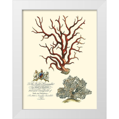 Custom Imperial Coral IV White Modern Wood Framed Art Print by Vision Studio