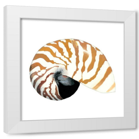 Seashore Souvenirs III White Modern Wood Framed Art Print by McCavitt, Naomi