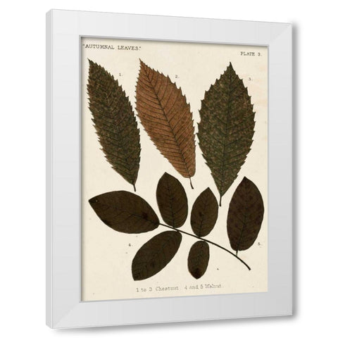 Autumnal Leaves I White Modern Wood Framed Art Print by Vision Studio