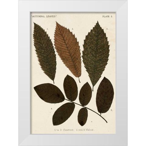 Autumnal Leaves I White Modern Wood Framed Art Print by Vision Studio