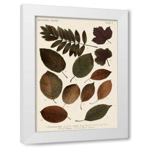 Autumnal Leaves II White Modern Wood Framed Art Print by Vision Studio