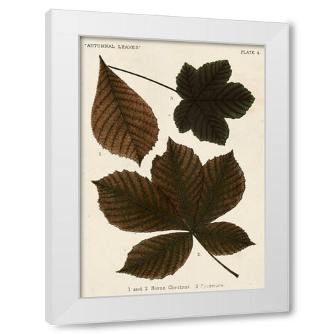 Autumnal Leaves III White Modern Wood Framed Art Print by Vision Studio