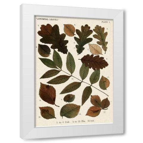 Autumnal Leaves V White Modern Wood Framed Art Print by Vision Studio