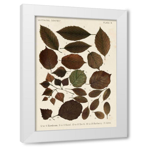 Autumnal Leaves VI White Modern Wood Framed Art Print by Vision Studio