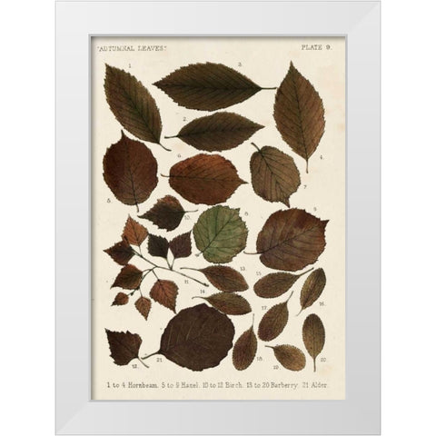 Autumnal Leaves VI White Modern Wood Framed Art Print by Vision Studio