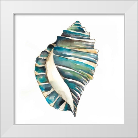 Aquarelle Shells I White Modern Wood Framed Art Print by Zarris, Chariklia