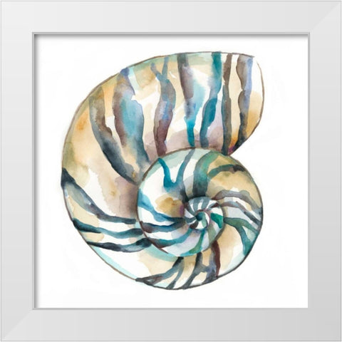 Aquarelle Shells II White Modern Wood Framed Art Print by Zarris, Chariklia