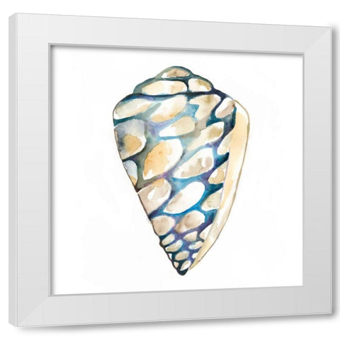 Aquarelle Shells III White Modern Wood Framed Art Print by Zarris, Chariklia