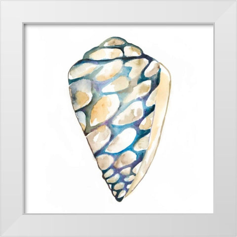 Aquarelle Shells III White Modern Wood Framed Art Print by Zarris, Chariklia