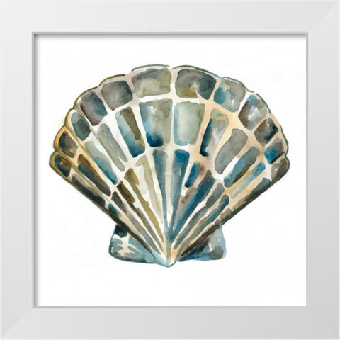 Aquarelle Shells IV White Modern Wood Framed Art Print by Zarris, Chariklia