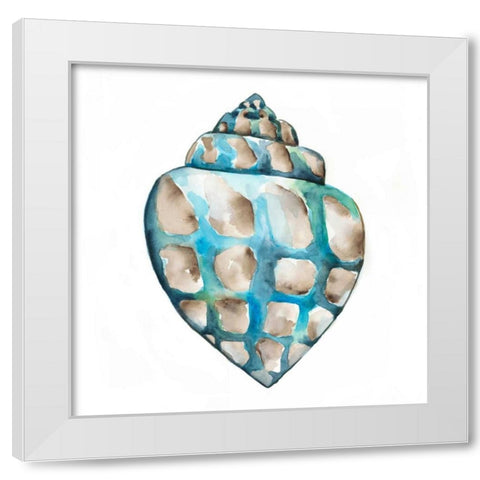 Aquarelle Shells V White Modern Wood Framed Art Print by Zarris, Chariklia