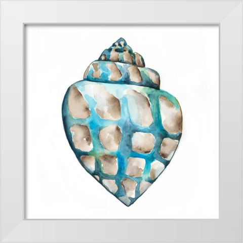 Aquarelle Shells V White Modern Wood Framed Art Print by Zarris, Chariklia