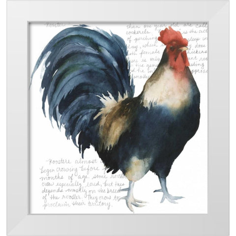 Roosters Crow I White Modern Wood Framed Art Print by Popp, Grace
