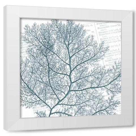 Aqua Marine II White Modern Wood Framed Art Print by Hambly, Anna