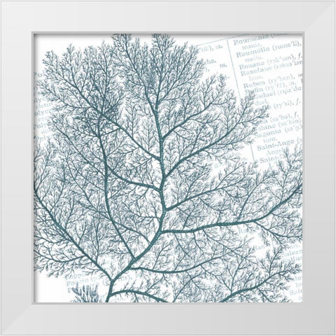 Aqua Marine II White Modern Wood Framed Art Print by Hambly, Anna