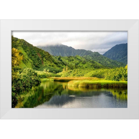 Coastal Marsh I White Modern Wood Framed Art Print by Head, Danny