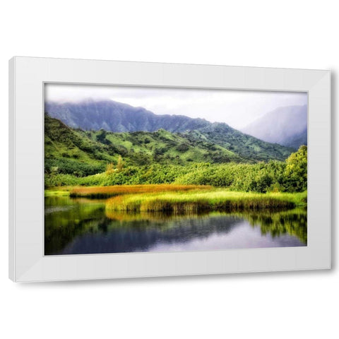Coastal Marsh II White Modern Wood Framed Art Print by Head, Danny