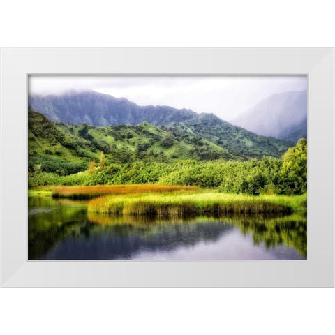 Coastal Marsh II White Modern Wood Framed Art Print by Head, Danny