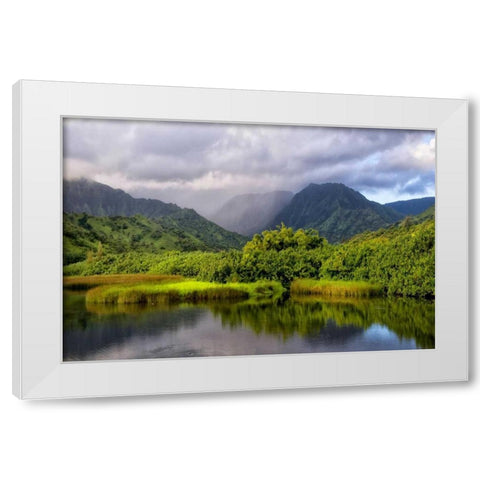 Coastal Marsh IV White Modern Wood Framed Art Print by Head, Danny