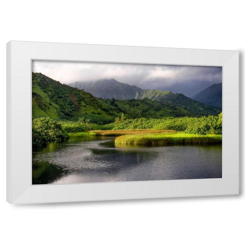 Coastal Marsh V White Modern Wood Framed Art Print by Head, Danny