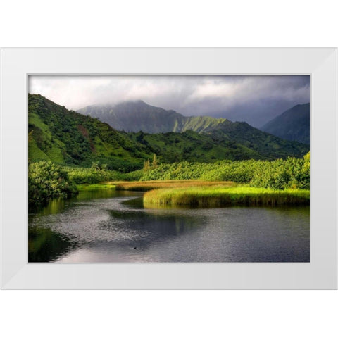 Coastal Marsh V White Modern Wood Framed Art Print by Head, Danny