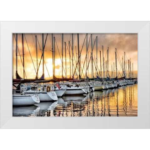 Backlit Marina White Modern Wood Framed Art Print by Head, Danny