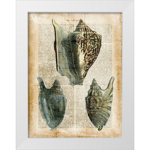 Small Antiquarian Seashells I White Modern Wood Framed Art Print by Vision Studio