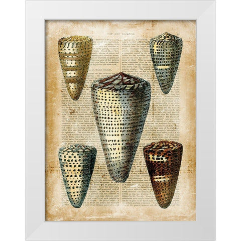 Small Antiquarian Seashells IV White Modern Wood Framed Art Print by Vision Studio