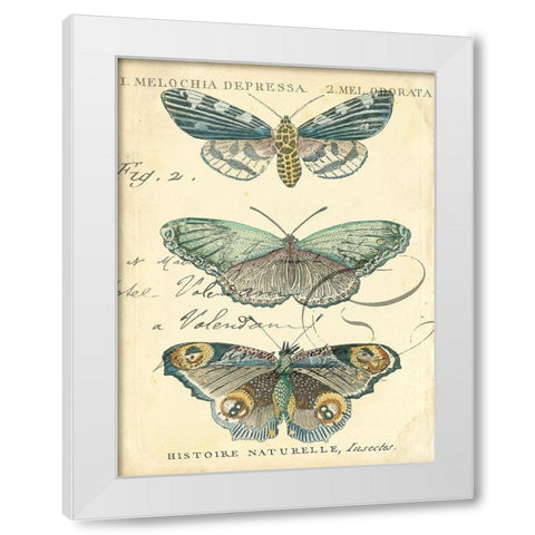 Custom Butterfly Ephemera II (GC) White Modern Wood Framed Art Print by Zarris, Chariklia