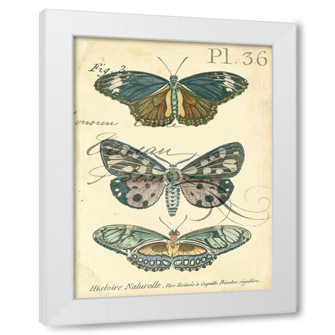 Custom Butterfly Ephemera III (GC) White Modern Wood Framed Art Print by Zarris, Chariklia