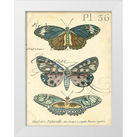 Custom Butterfly Ephemera III (GC) White Modern Wood Framed Art Print by Zarris, Chariklia