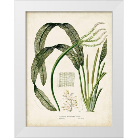 Small Tropical Grass I White Modern Wood Framed Art Print by Vision Studio