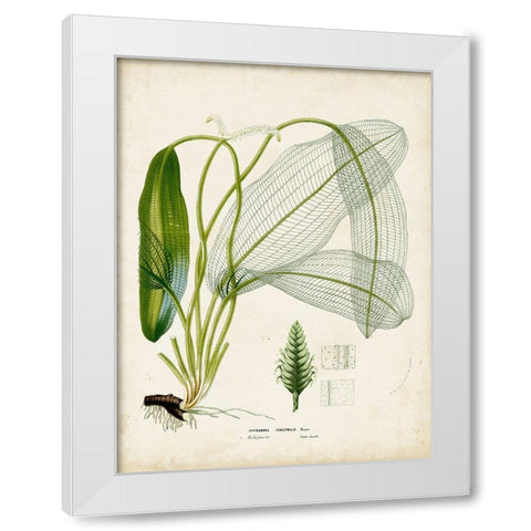 Small Tropical Grass II White Modern Wood Framed Art Print by Vision Studio