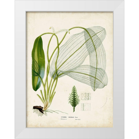 Small Tropical Grass II White Modern Wood Framed Art Print by Vision Studio