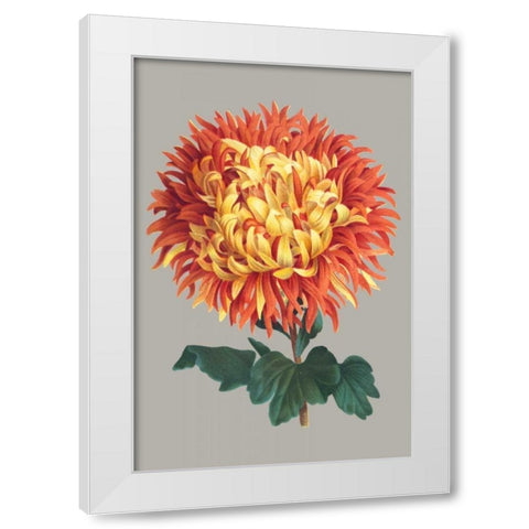 Chrysanthemum on Gray I White Modern Wood Framed Art Print by Vision Studio