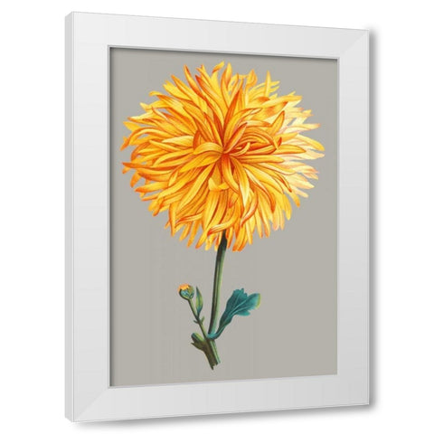 Chrysanthemum on Gray IV White Modern Wood Framed Art Print by Vision Studio