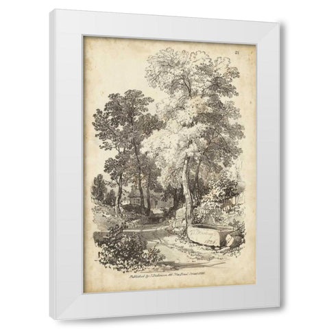 Noble Tree I White Modern Wood Framed Art Print by Harding, J.D.