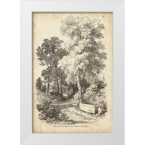 Noble Tree I White Modern Wood Framed Art Print by Harding, J.D.