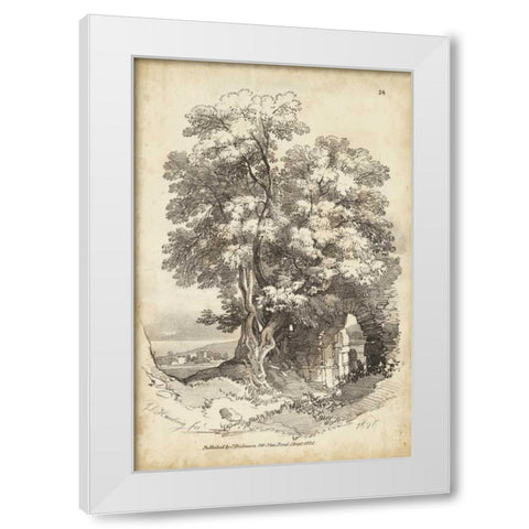 Noble Tree II White Modern Wood Framed Art Print by Harding, J.D.