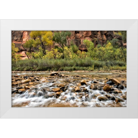 Rocky Bottom White Modern Wood Framed Art Print by Head, Danny