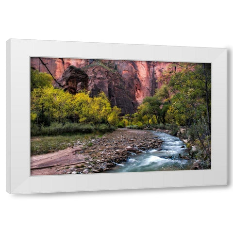 Looking Upstream I White Modern Wood Framed Art Print by Head, Danny
